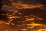 ARIZONA - MADERA CANYON - SUNSET A.jpg