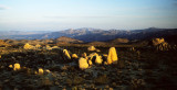 JOSHUA TREE - INSELBERGS C.jpg