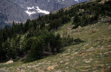 COLORADO - ROCKIES NATIONAL PARK - VIEW OF ROCKIES B.jpg