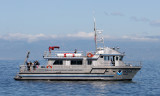 CALIFORNIA - CHANNEL ISLANDS NP - ANACAPA ISLAND - LIMPETS RESEARCH TRIP WITH GREG (28).jpg