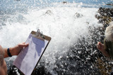 CALIFORNIA - CHANNEL ISLANDS NP - ANACAPA ISLAND - Splash - natural hazards.jpg