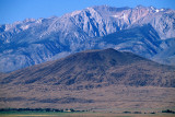 CALIFORNIA - SIERRA - EAST SIDE WITH ELK (3).jpg