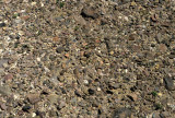 DEATH VALLEY - DESERT PAVEMENT.jpg