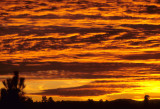 ARIZONA - GRAND CANYON - SOUTH RIM VIEW - SUNSET.jpg