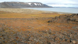 SVALBARD - BARENTSOYA ISLAND (17).jpg