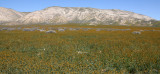 CARRIZO PLAIN NATIONAL MONUMENT CALIFORNIA VIEWS OF THE REGION - ROAD TRIP 2010 (3).JPG