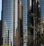 2010-4-5 LOS ANGELES (6).JPG