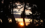 SUNSET BEACH STATE BEACH CALIFORNIA - SUNRISE AT BEACHCAMP - SPRING ROADTRIP 2010.JPG