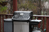 First Snow of 2009