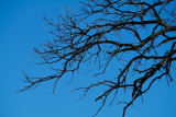Blue sky