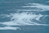 Ice & Snow
