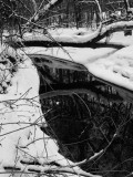Stream