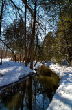 Winter Afternoon