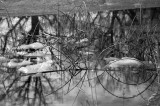 Thawing