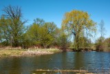 Pond