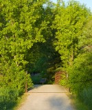 Bridge & Bench