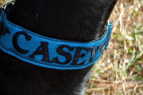 casey collar 3.jpg