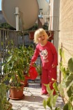 Watering the flowers