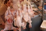 Chicken!