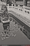 Shenyang 瀋陽 - 滿清故宮 Manchurian Palace