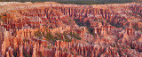 bryce pt pan flat  c7a0764.jpg