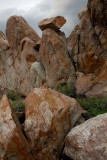 Devils Playground