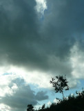 Gathering clouds