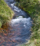A Dartmoor Stream