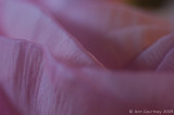 Pink folds