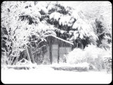 The Summerhouse