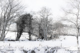 Across the field to the Taw.