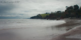  Dawlish beach