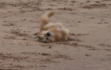 Rolling