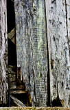 Barn Door