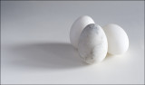 Marble Eggs