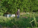 the_allotment_project