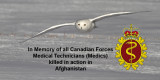 In Memory Of All Canadian Forces Medical Technicians (Medics) Killed In Action In Afghanistan