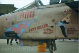 Panavia Tornado GR1  Gulf War nose Art