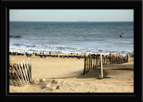 Jersey Shoreline