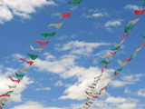 sky with flags