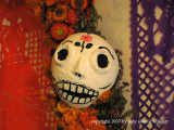 calavera