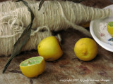 wool and limon