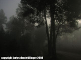 33008_am_to_chichi40 fog