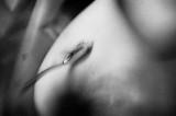 _SMV0519.jpg