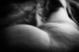_SMV0611.jpg