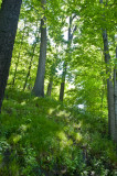 _SMV0699.jpg