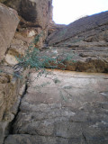 climbing-07.jpg