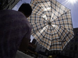 Umbrella #12452