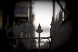 Fence #616