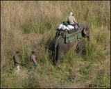 6883 Elephants for transport.jpg